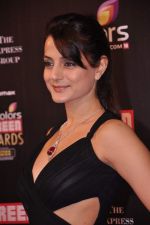 Amisha Patel at Screen Awards red carpet in Mumbai on 12th Jan 2013 (503).JPG